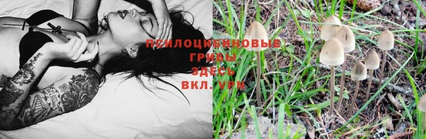 бошки Баксан