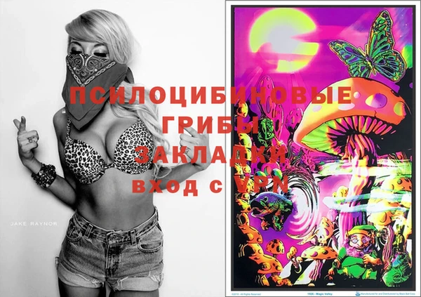 дмт Балабаново