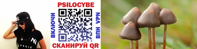 Галлюциногенные грибы мухоморы купить Порхов