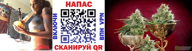 Бошки Шишки ГИДРОПОН  Порхов 